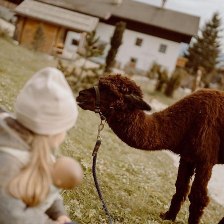 Feuerstein Nature Family Resort Colle Isarco Kültér fotó