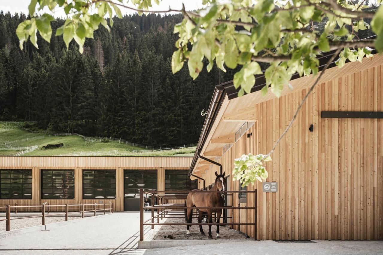 Feuerstein Nature Family Resort Colle Isarco Kültér fotó